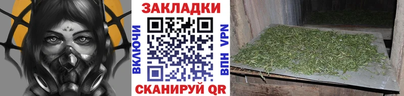 Бошки Шишки Чехов
